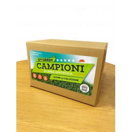 Collezione completa gamma 2025