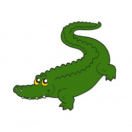 Coccodrillo grande 175 x...