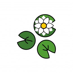 Set di loto 1x fiore Ø 50...