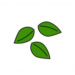 Foglie set 10 pezzi 84 x...