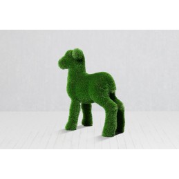 Agnello MT 1,0 X 0,8 X 0,35