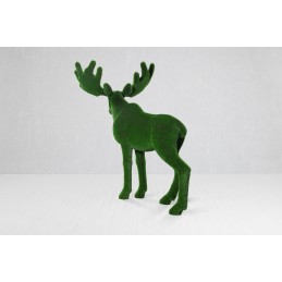 Alce MT 2,05 X 2,20 X 0,55