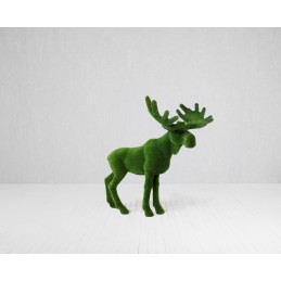 Alce MT 2,05 X 2,20 X 0,55