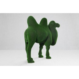 Cammello MT 2,5 X 2,85 X 1,1