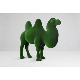 Cammello MT 2,5 X 2,85 X 1,1