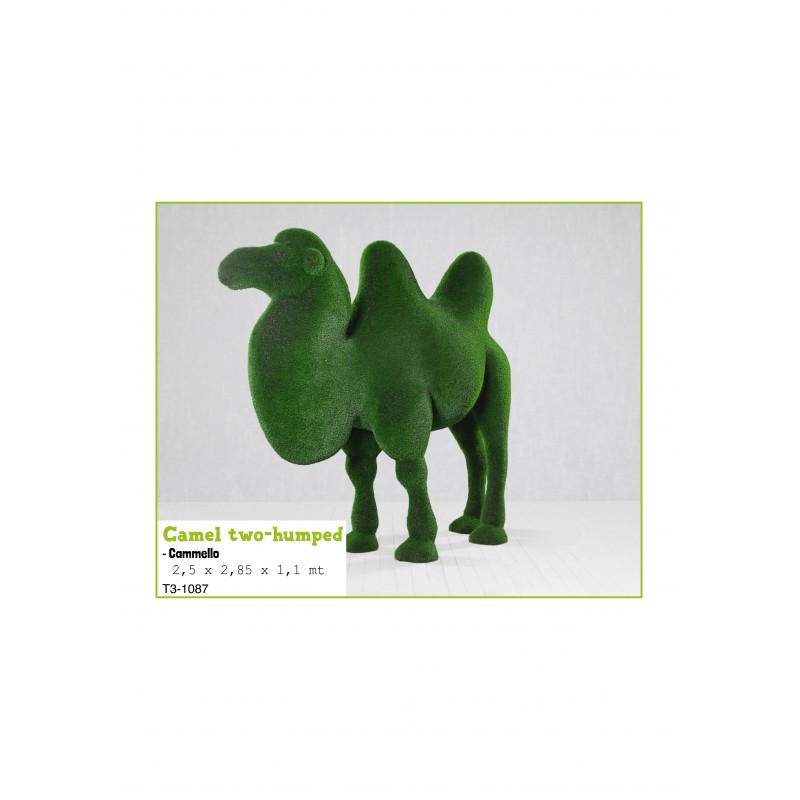 Cammello MT 2,5 X 2,85 X 1,1