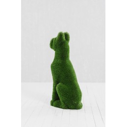 Cane MT 1,25 X 0,6 X 0,4