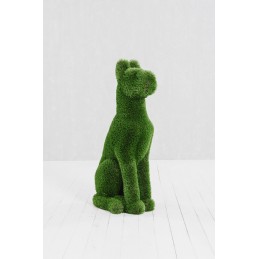 Cane MT 1,25 X 0,6 X 0,4