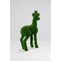 Capriolo maschio MT 1,85 X 1,3 X 0,5