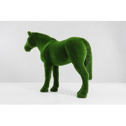 Cavallo MT 1,95 X 2,55 X 0,75