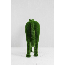 Cavallo MT 1,95 X 2,55 X 0,75