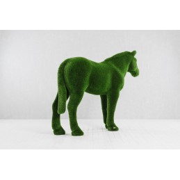 Cavallo MT 1,95 X 2,55 X 0,75