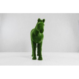 Cavallo MT 1,95 X 2,55 X 0,75