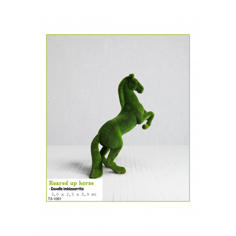 Cavallo imbizzarrito MT 3,0 X 2,5 X 0,9