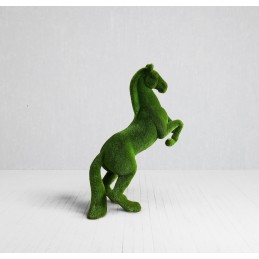 Cavallo imbizzarrito MT 3,0 X 2,5 X 0,9