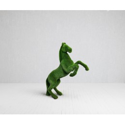 Cavallo imbizzarrito MT 3,0 X 2,5 X 0,9