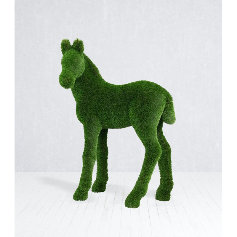 Cavallo puledro MT 1,5 X 1,2 X 0,6