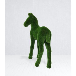 Cavallo puledro MT 1,5 X 1,2 X 0,6