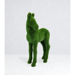 Cavallo puledro MT 1,5 X 1,2 X 0,6