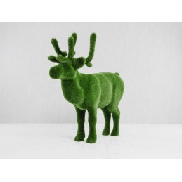 Cervo MT 2,05 X 2,20 X 0,55