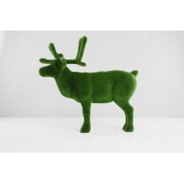 Cervo MT 2,05 X 2,20 X 0,55