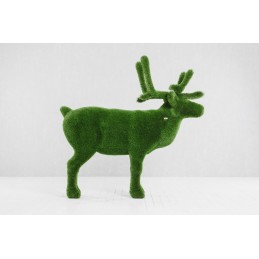 Cervo MT 2,05 X 2,20 X 0,55