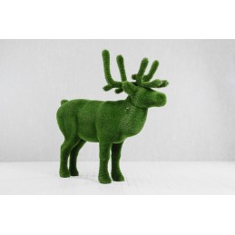 Cervo MT 2,05 X 2,20 X 0,55