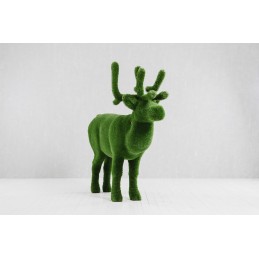 Cervo MT 2,05 X 2,20 X 0,55