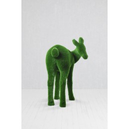 Daino MT 1,65 X 1,7 X 0,85