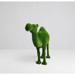 Dromedario MT 2,2 X 3,0 X 0,9