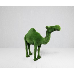 Dromedario MT 2,2 X 3,0 X 0,9