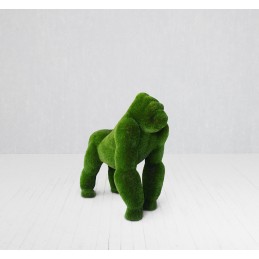 Gorilla MT 1,85 X 1,85 X0,92