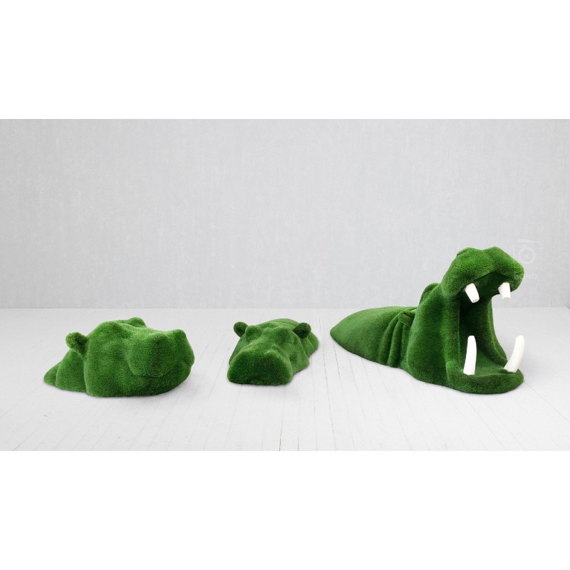 Ippopotami che nuotano (SET)