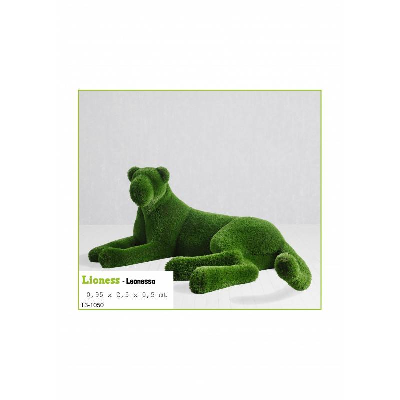 Leonessa MT 0,95 X 2,5 X 1,5