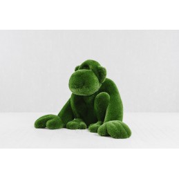 Scimmia MT 1,25 X 1,0 X 1,95