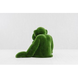 Scimmia MT 1,25 X 1,0 X 1,95