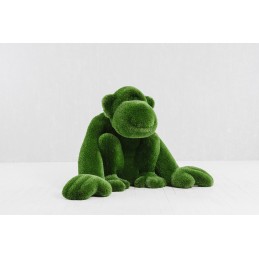 Scimmia MT 1,25 X 1,0 X 1,95