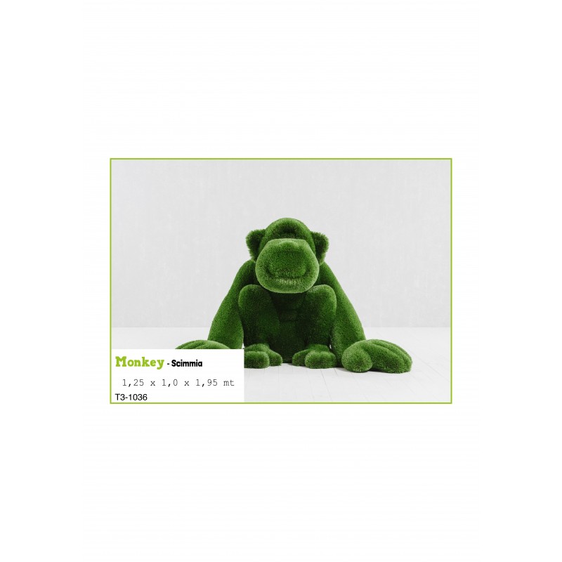 Scimmia MT 1,25 X 1,0 X 1,95