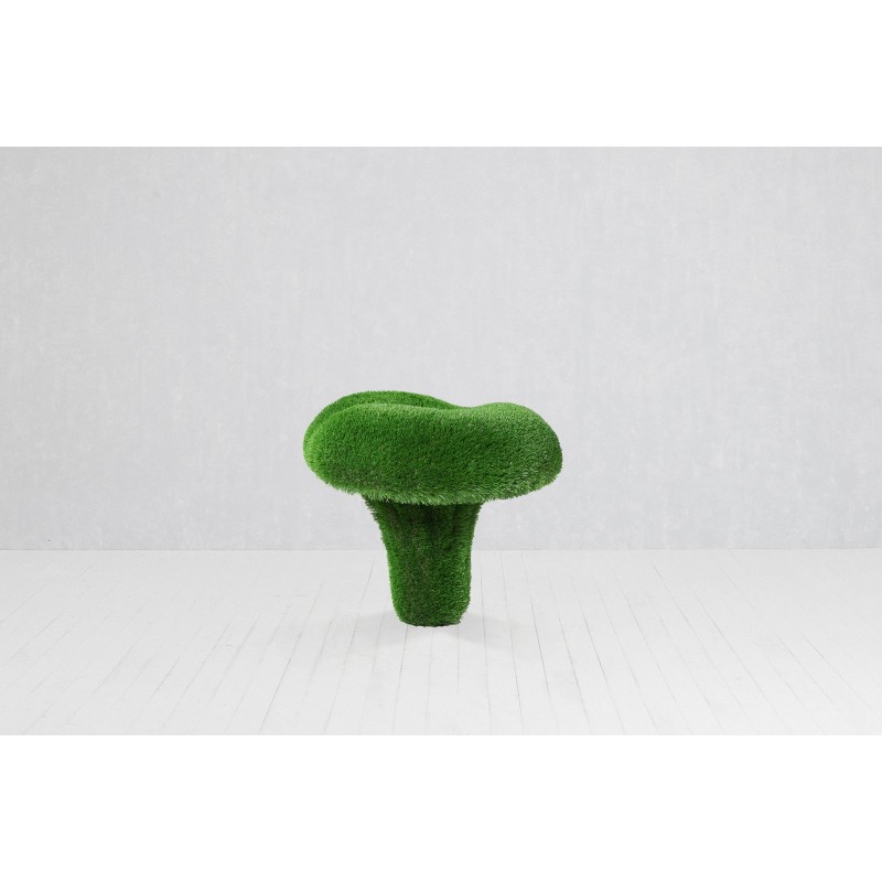 Finferli (misura S) MT 0,6 X 0,7 X 0,7