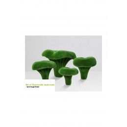 Finferli (misura M) MT 0,8 X 0,87 X 0,87