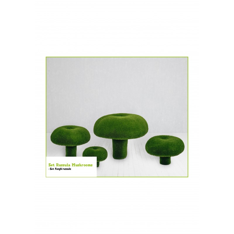 Funghi russula Set