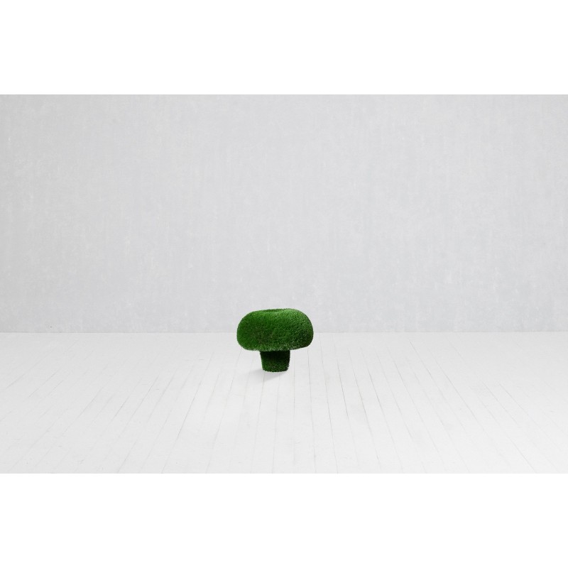 Funghi russula (misura s)