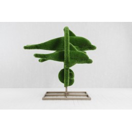 Delfini MT 2,0 X 2,1 X 1,8