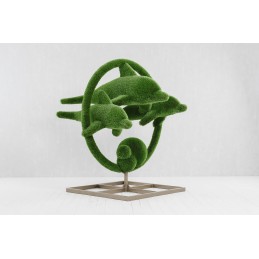 Delfini MT 2,0 X 2,1 X 1,8