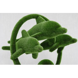 Delfini MT 2,0 X 2,1 X 1,8