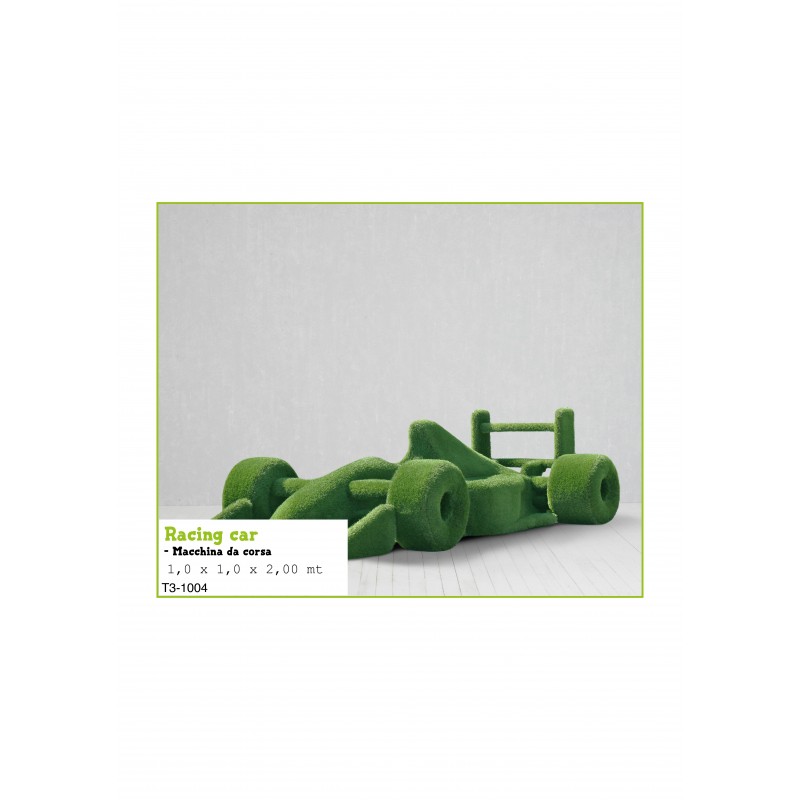 Macchina da corsa MT 1,0 X 1,0 X 2,00