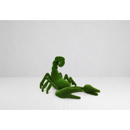 Scorpione MT 3,5 X 2,3 X 1,9