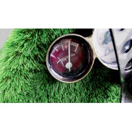 Tartaruga nella macchina