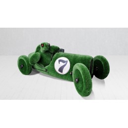 Tartaruga nella macchina