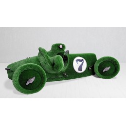 Tartaruga nella macchina